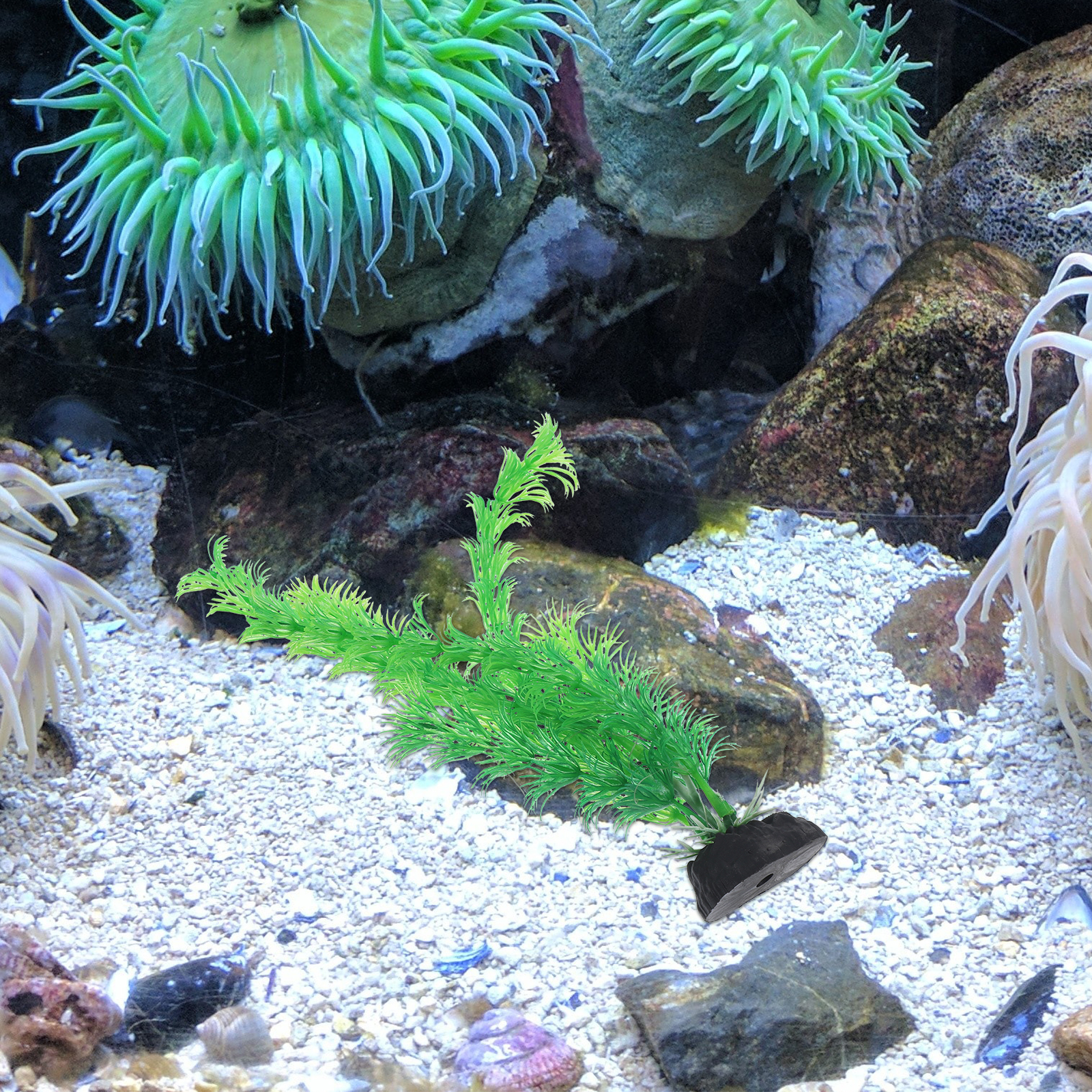 Planted Aquarium Models - 12pcs Plastic Aquarium Plants Realistic Modeling