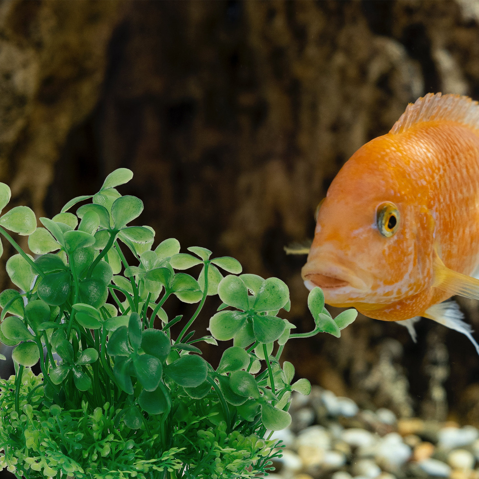 Aquarium Planted Set Up - Premium Plastic Aquarium Plants Realistic Simulation
