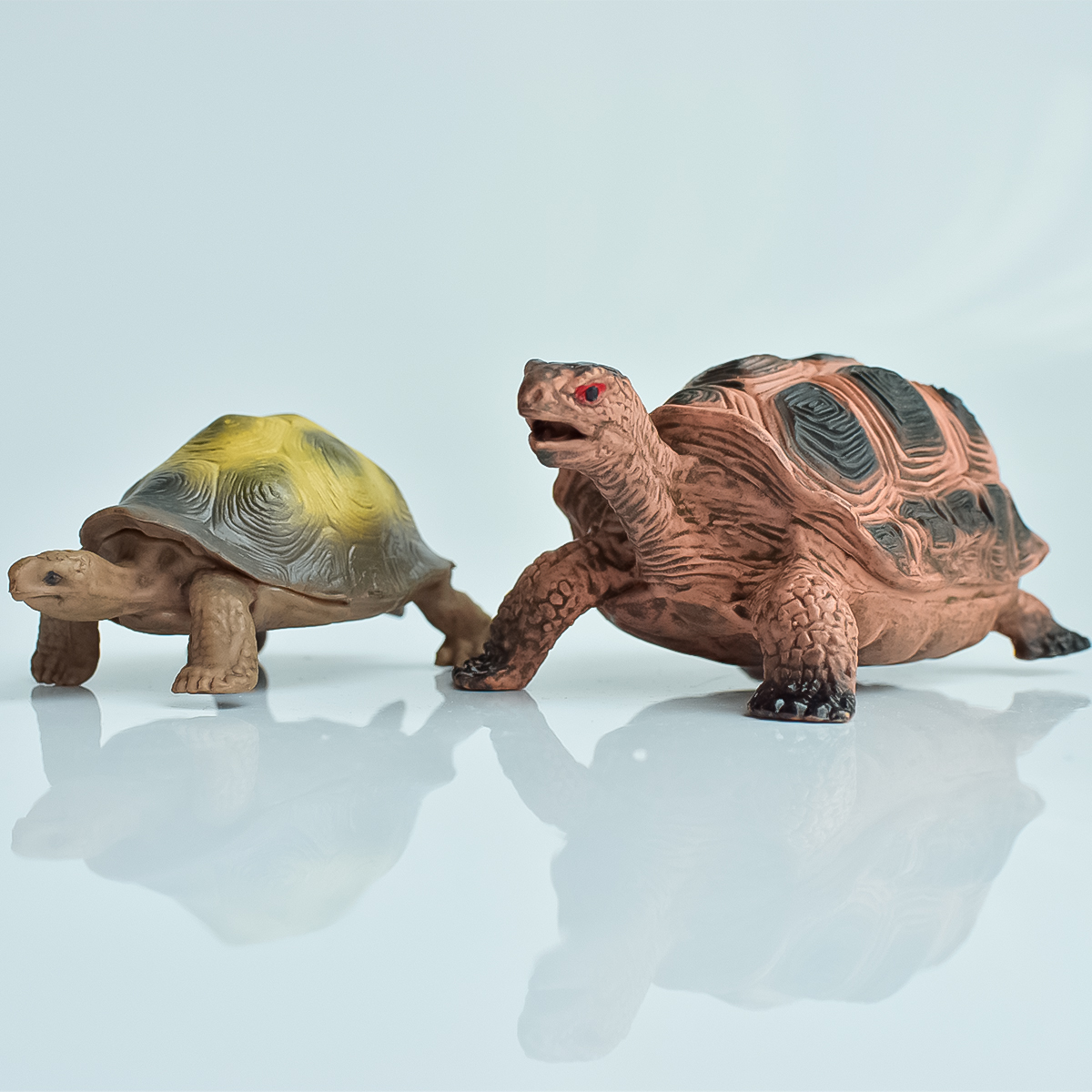 Aquarium Plants - Painted Realistic Animal Turtle | Aquatic