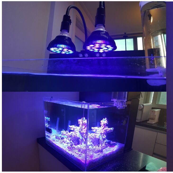 Planted Aquarium Algae - Free customize LED Aquarium light led