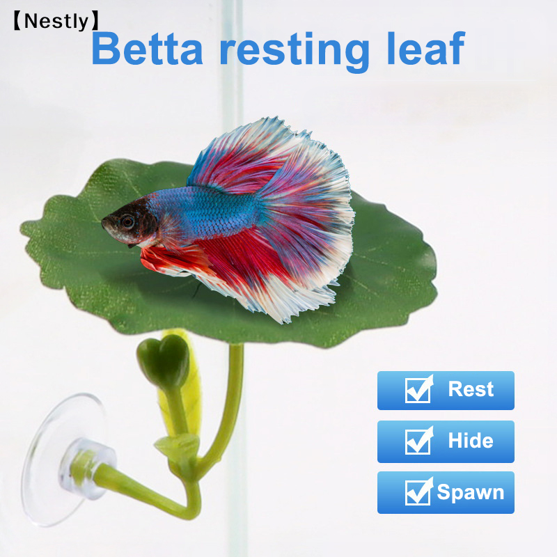 Planted Aquarium For Betta - 1Pc Green Leaf Hammock For Betta