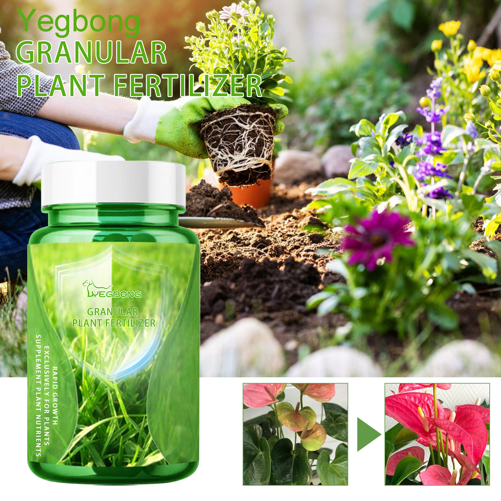 Liquid Fertilizer All In - 30ML All Purpose Green Plant Nutrient