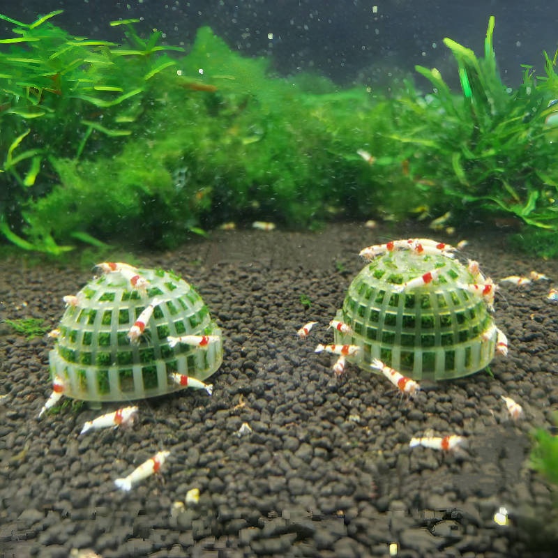 Planted Aquarium Models - 1pc Aquarium Moss Ball Holder, Fish