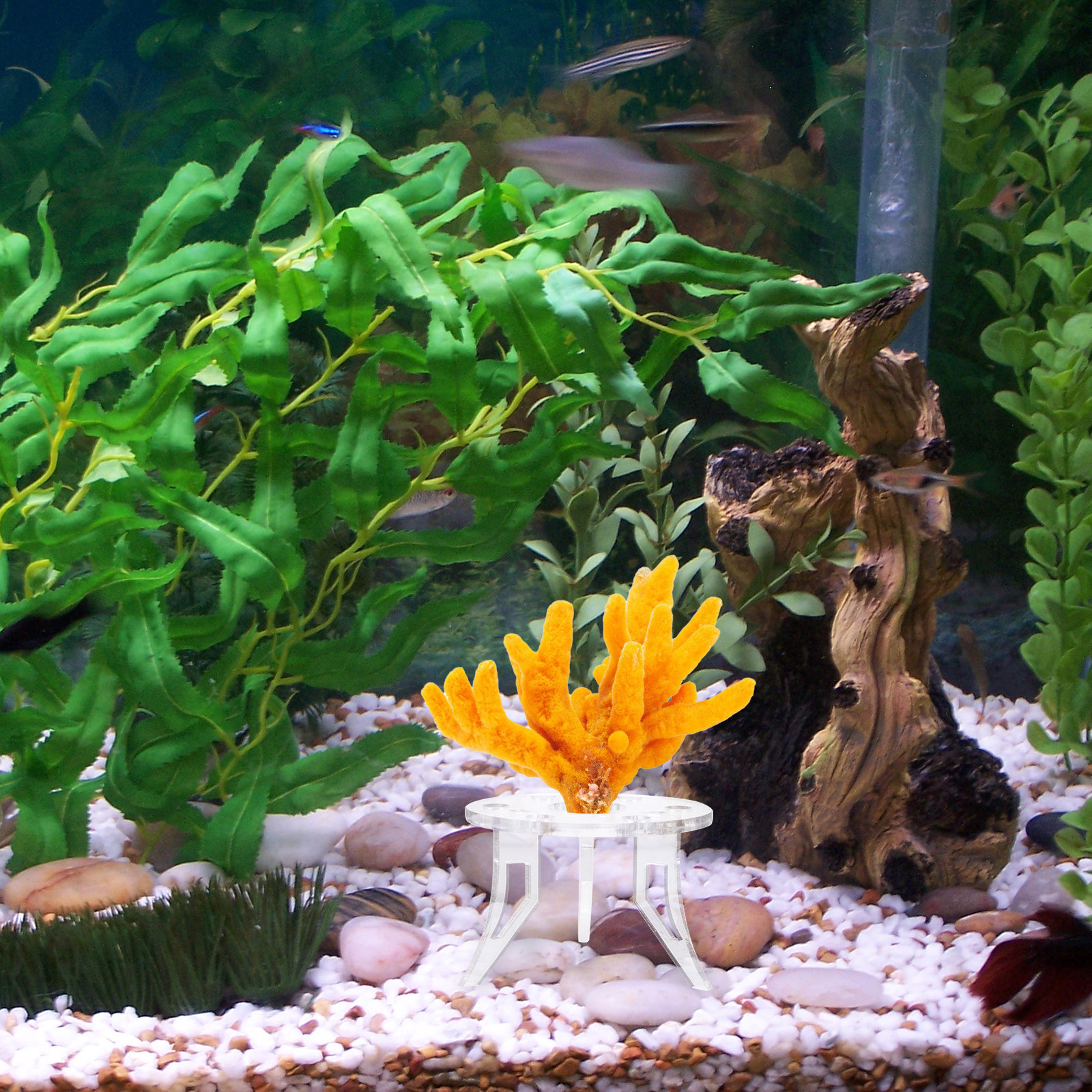 Aquarium Planted Set Up - 1Pcs Coral Base Stylish Strong Aquarium