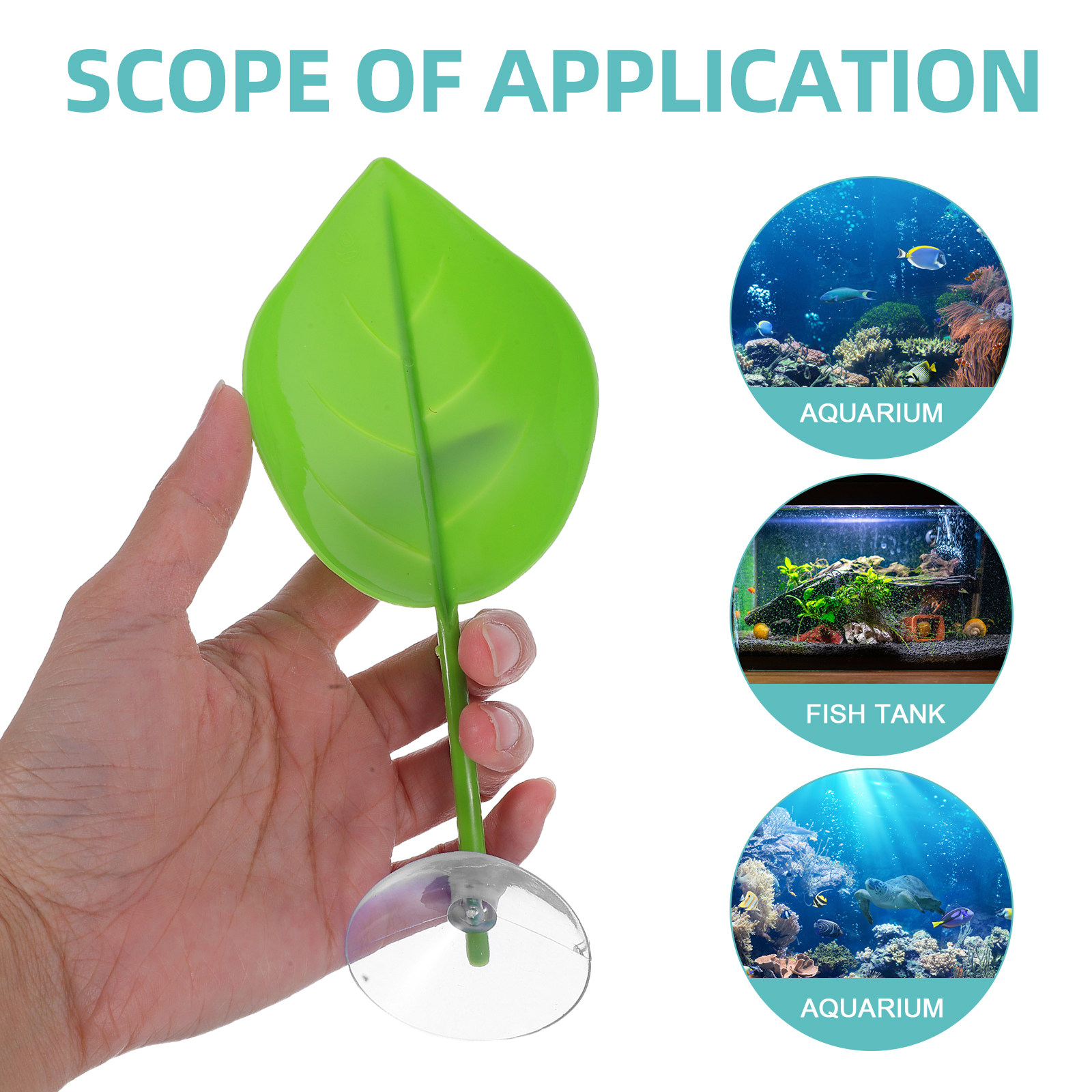 3Pcs Betta Fish Resting Leaves - Planted Aquarium For Betta のレビューと価格