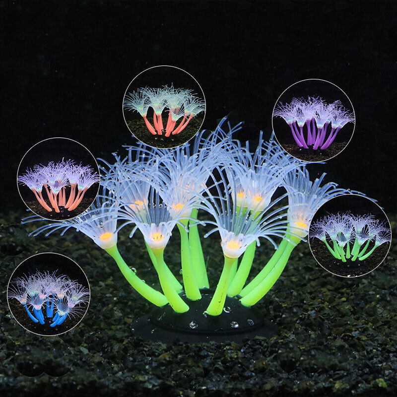 Silicone Glowing Landscape Art - Aquarium Planted Substrate のレビューと価格