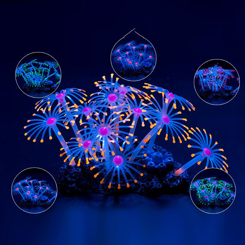 Silicone Glowing Landscape Art - Aquarium Planted Substrate のレビューと価格