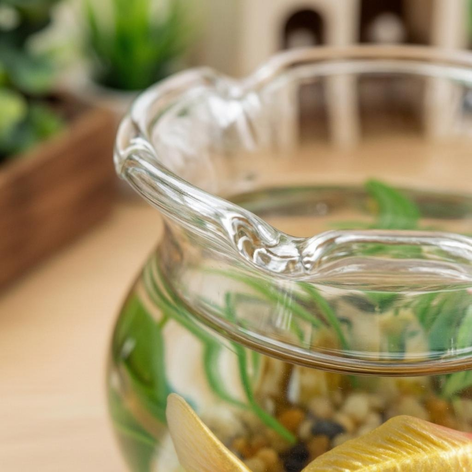 Dollhouse Aquatic Aquarium Fla - Planted Aquarium Models のレビューと価格
