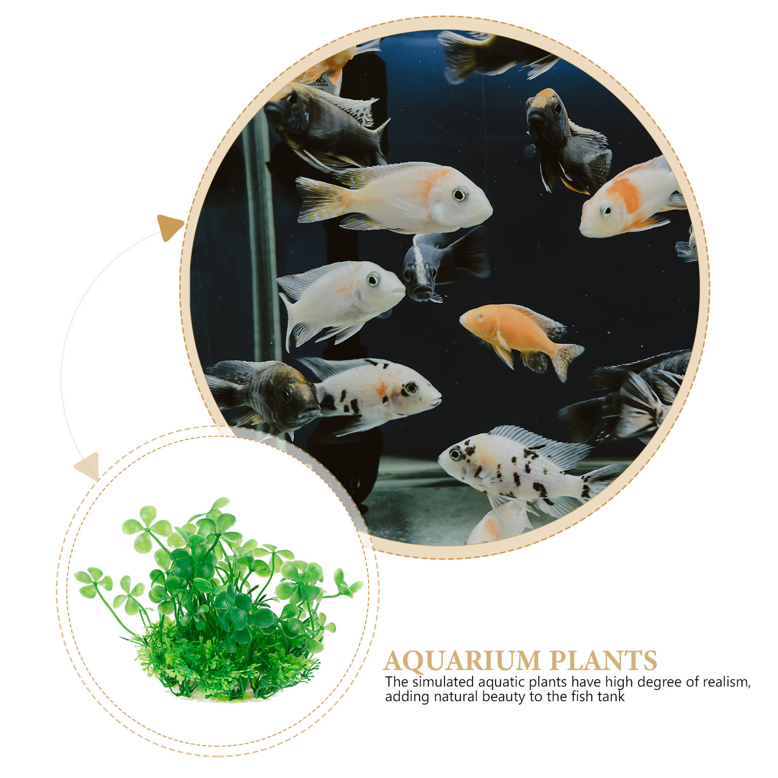 Premium Plastic Aquarium Plant - Aquarium Planted Set Up のレビューと価格
