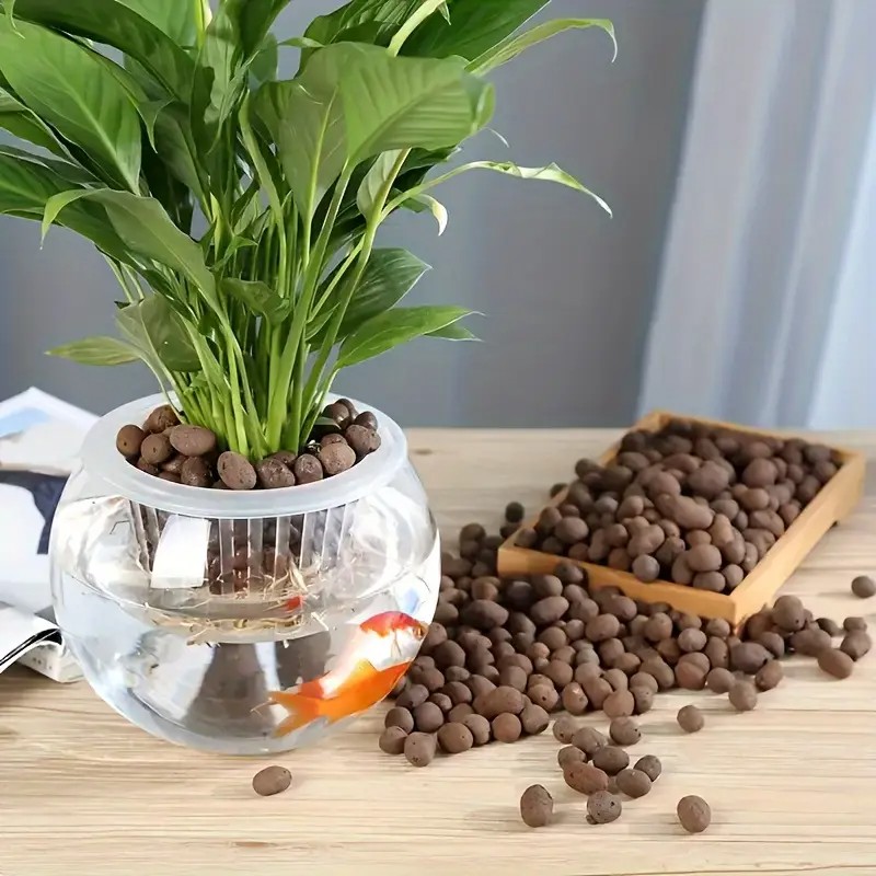 Lightweight & Breathable Terra - Aquarium Plants のレビューと価格