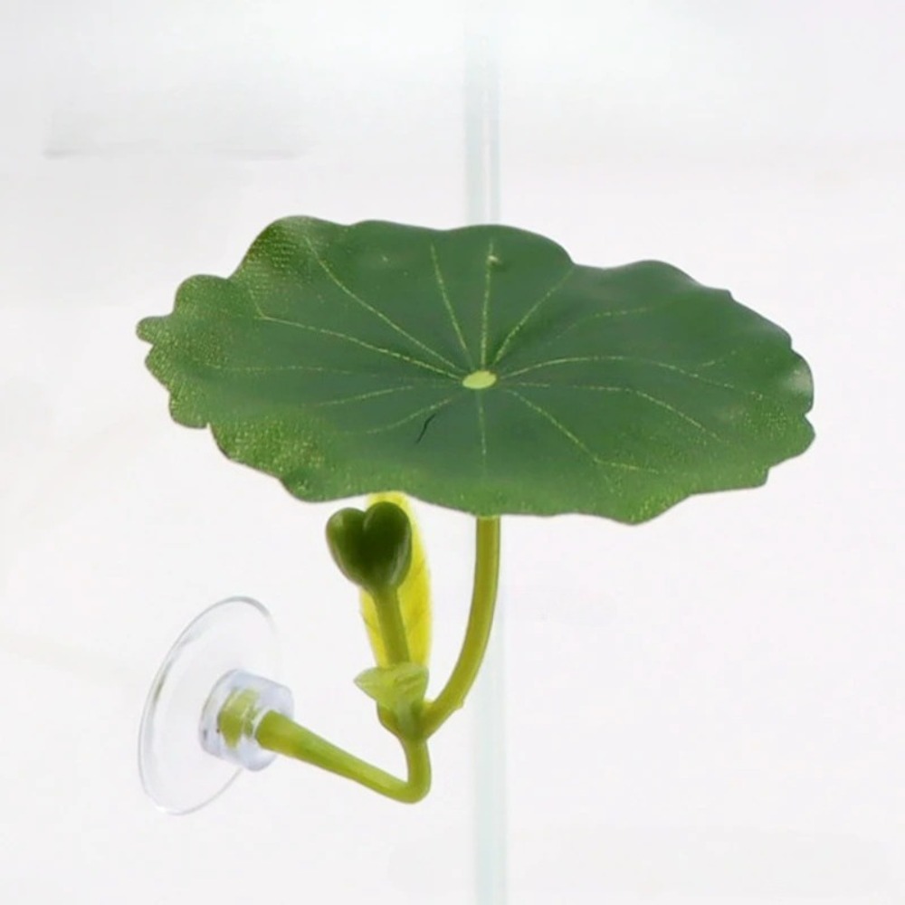 Lotus leaf Betta Fish Hammock  - Planted Aquarium For Betta のレビューと価格