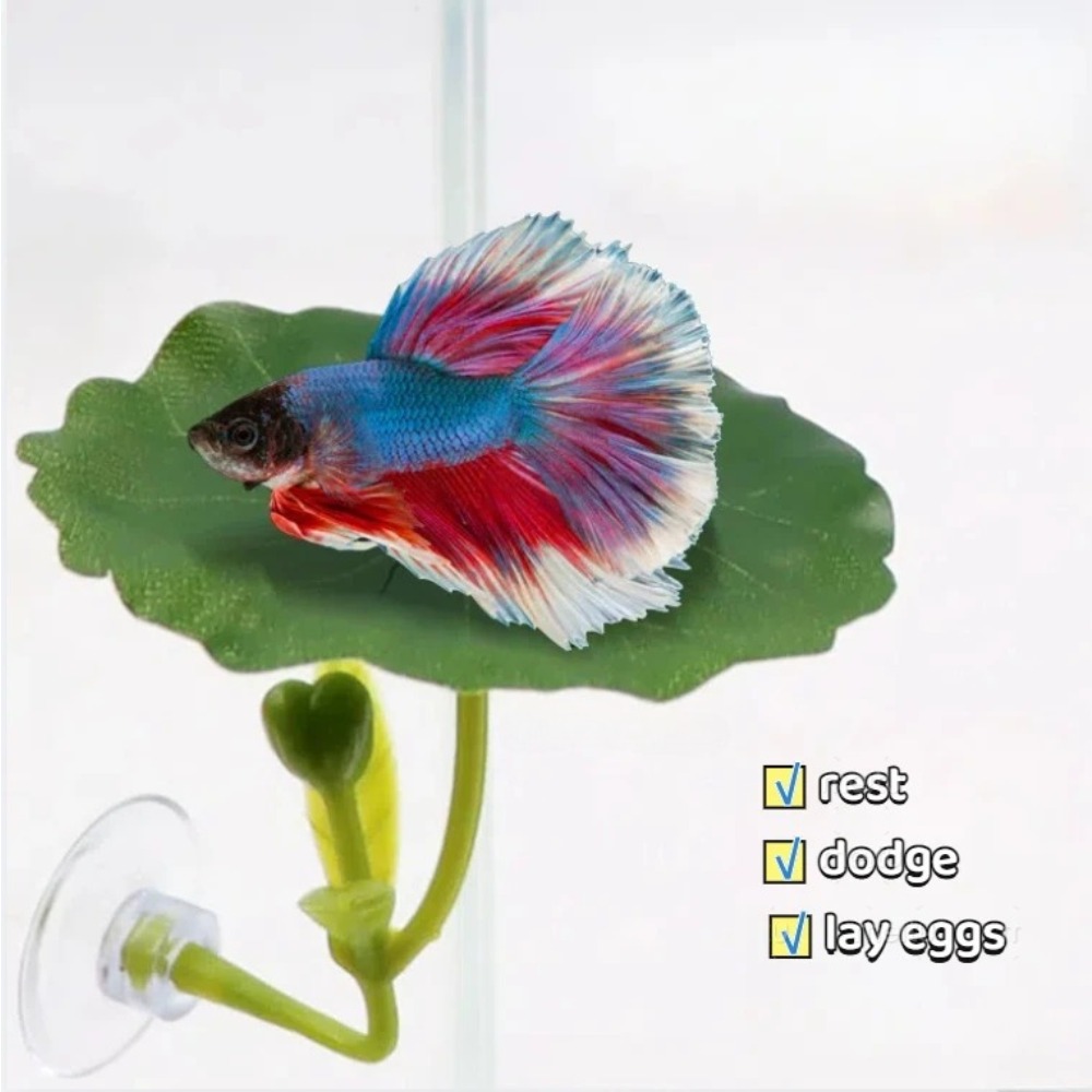 Lotus leaf Betta Fish Hammock  - Planted Aquarium For Betta のレビューと価格