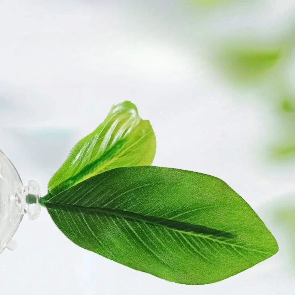 Lotus leaf Betta Fish Hammock  - Planted Aquarium For Betta のレビューと価格