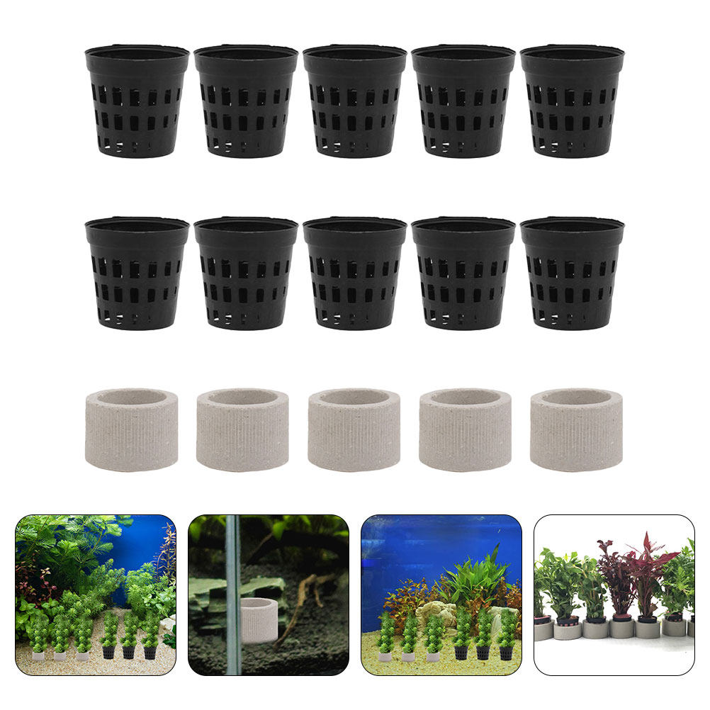 1Set Aquarium Water Plant Fixi - Aquarium Planted Set Up のレビューと価格