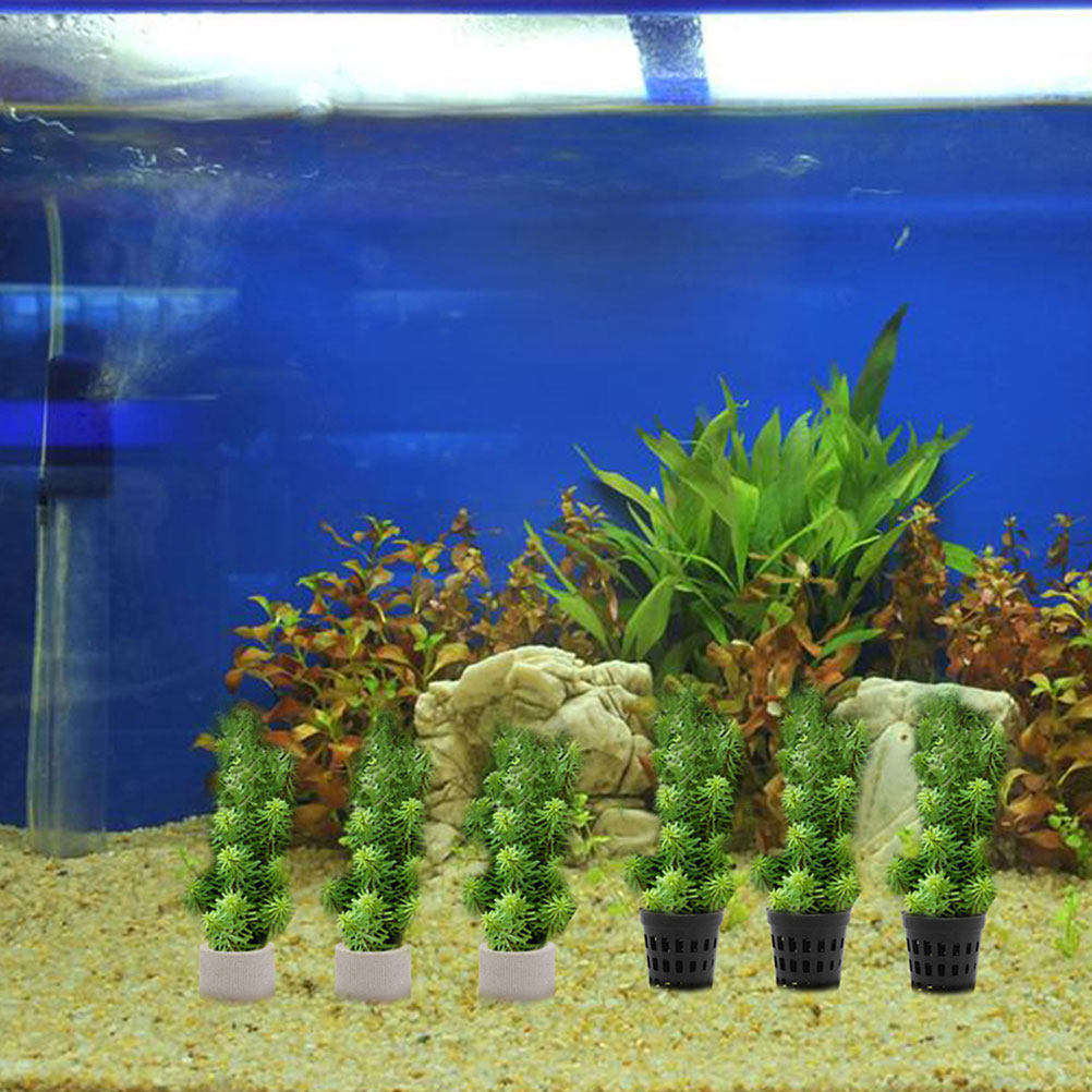 1Set Aquarium Water Plant Fixi - Aquarium Planted Set Up のレビューと価格