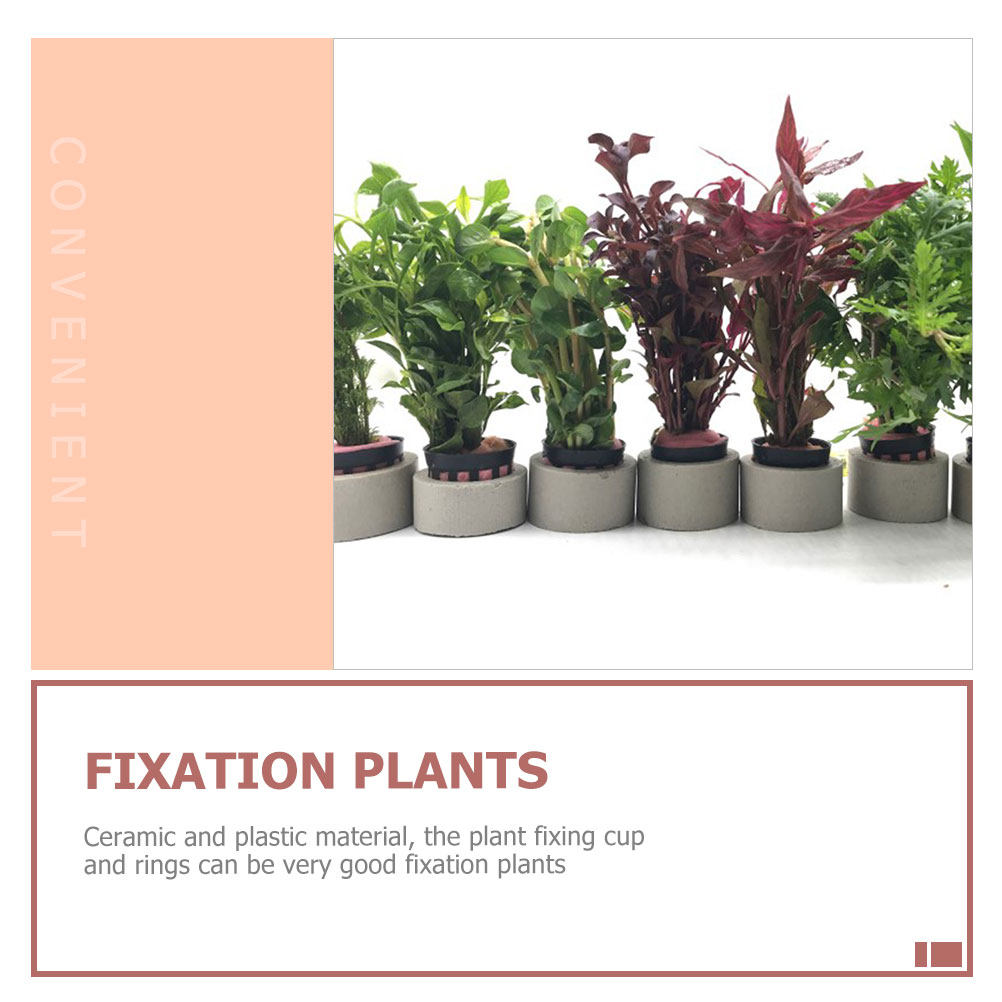 1Set Aquarium Water Plant Fixi - Aquarium Planted Set Up のレビューと価格