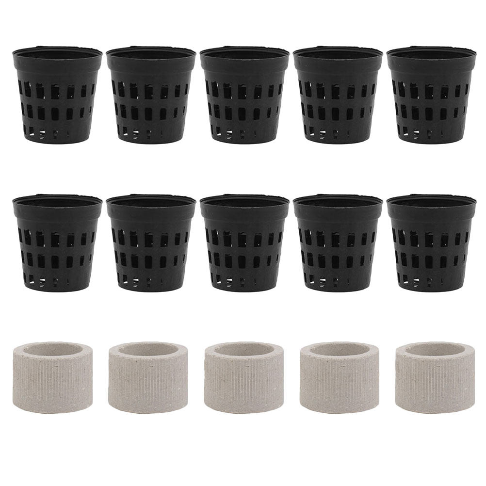 1Set Aquarium Water Plant Fixi - Aquarium Planted Set Up のレビューと価格