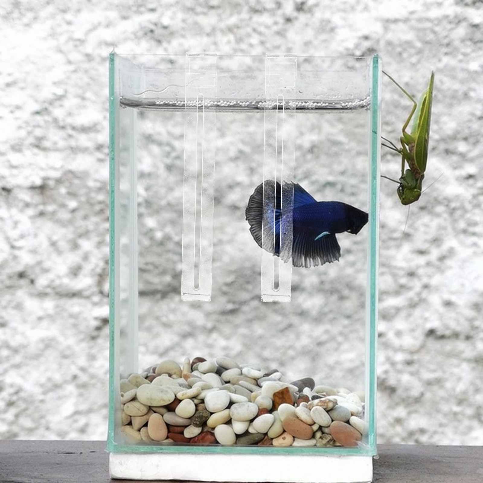 2Pcs Lightweight Sturdy Plasti - Aquarium Planted Set Up のレビューと価格