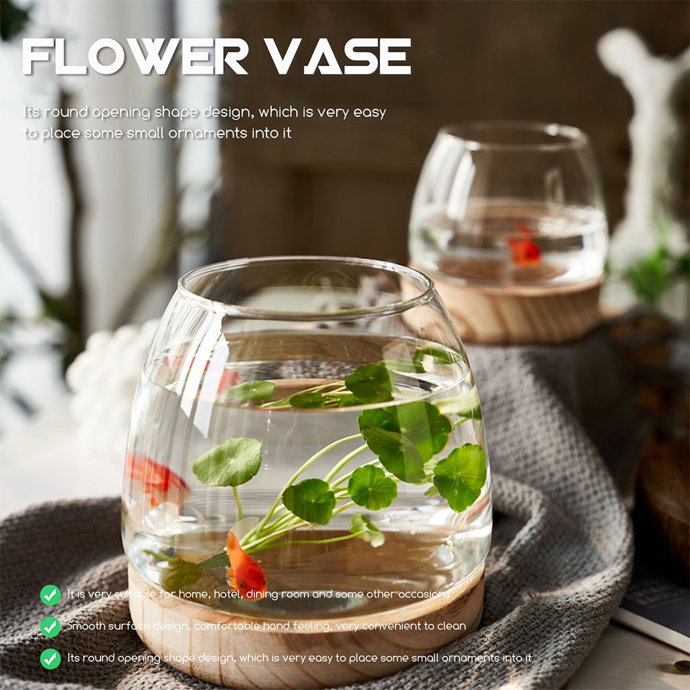 1Set Premium Glass Hydroponic  - Aquarium Plants のレビューと価格