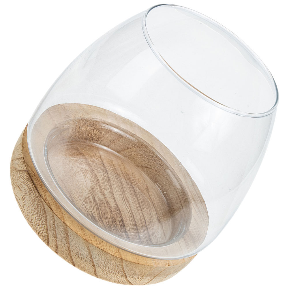 1Set Premium Glass Hydroponic  - Aquarium Plants のレビューと価格
