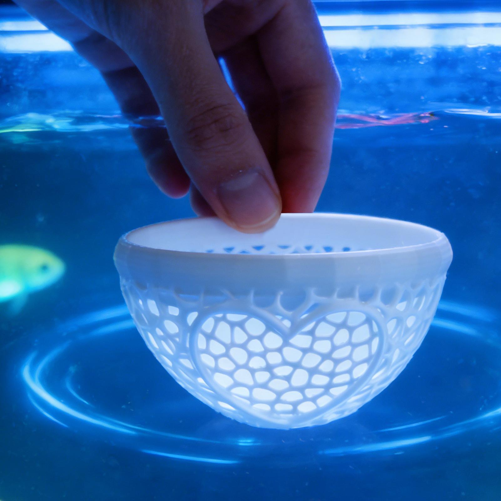 Floating betta shelter Betta h - Planted Aquarium For Betta のレビューと価格