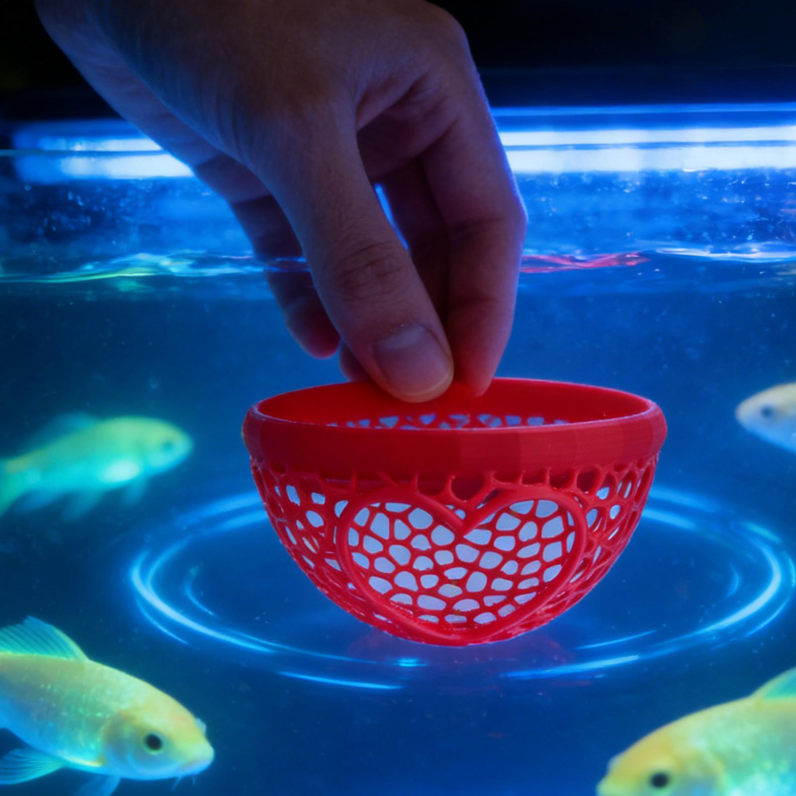 Floating betta shelter Betta h - Planted Aquarium For Betta のレビューと価格