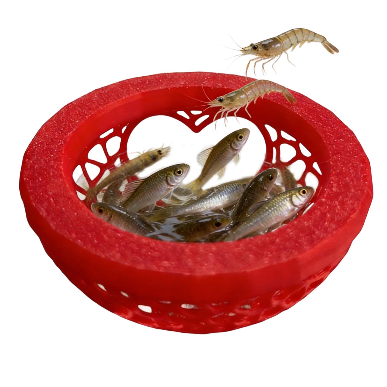 Floating betta shelter Betta h - Planted Aquarium For Betta のレビューと価格