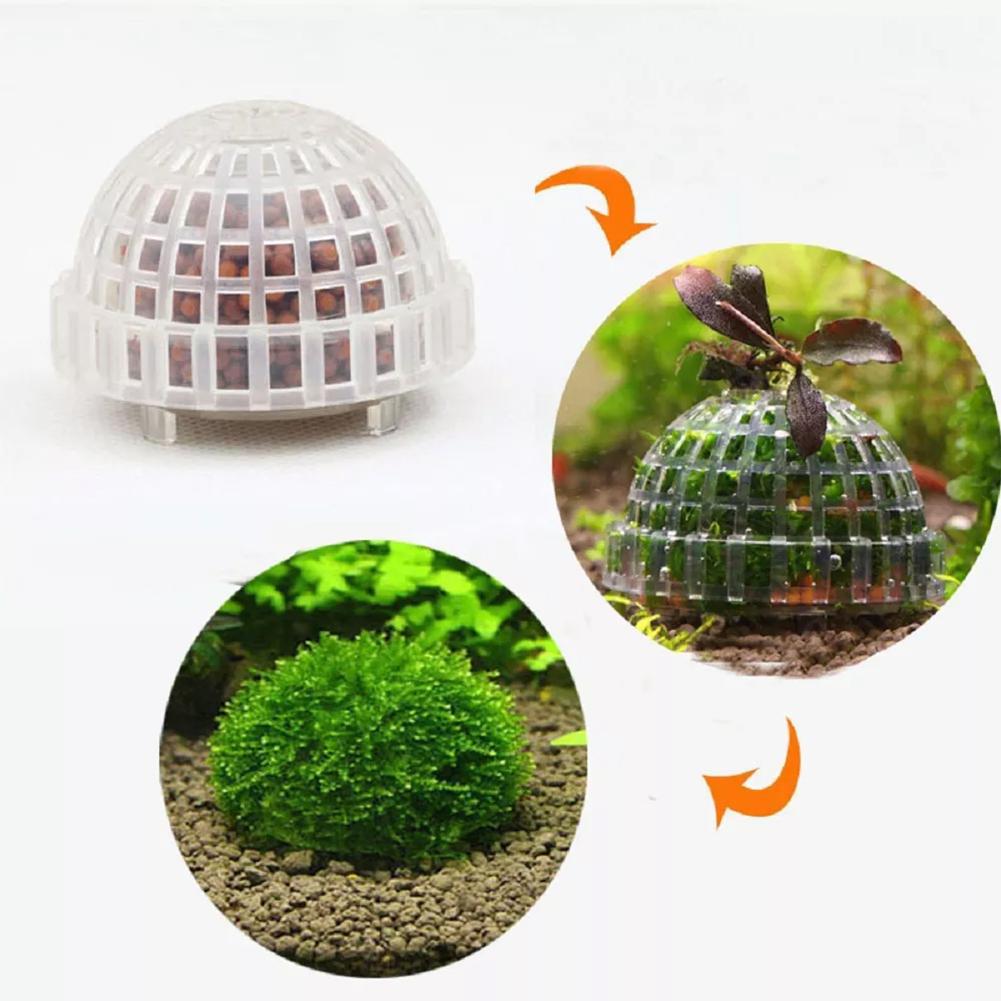 1pc Aquarium Moss Ball Holders - Planted Aquarium Models のレビューと価格