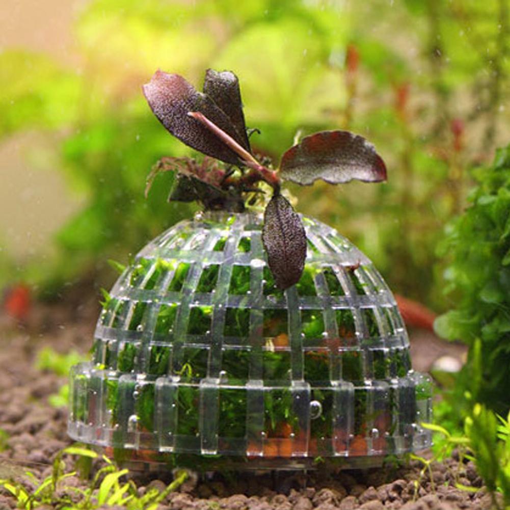 1pc Aquarium Moss Ball Holders - Planted Aquarium Models のレビューと価格