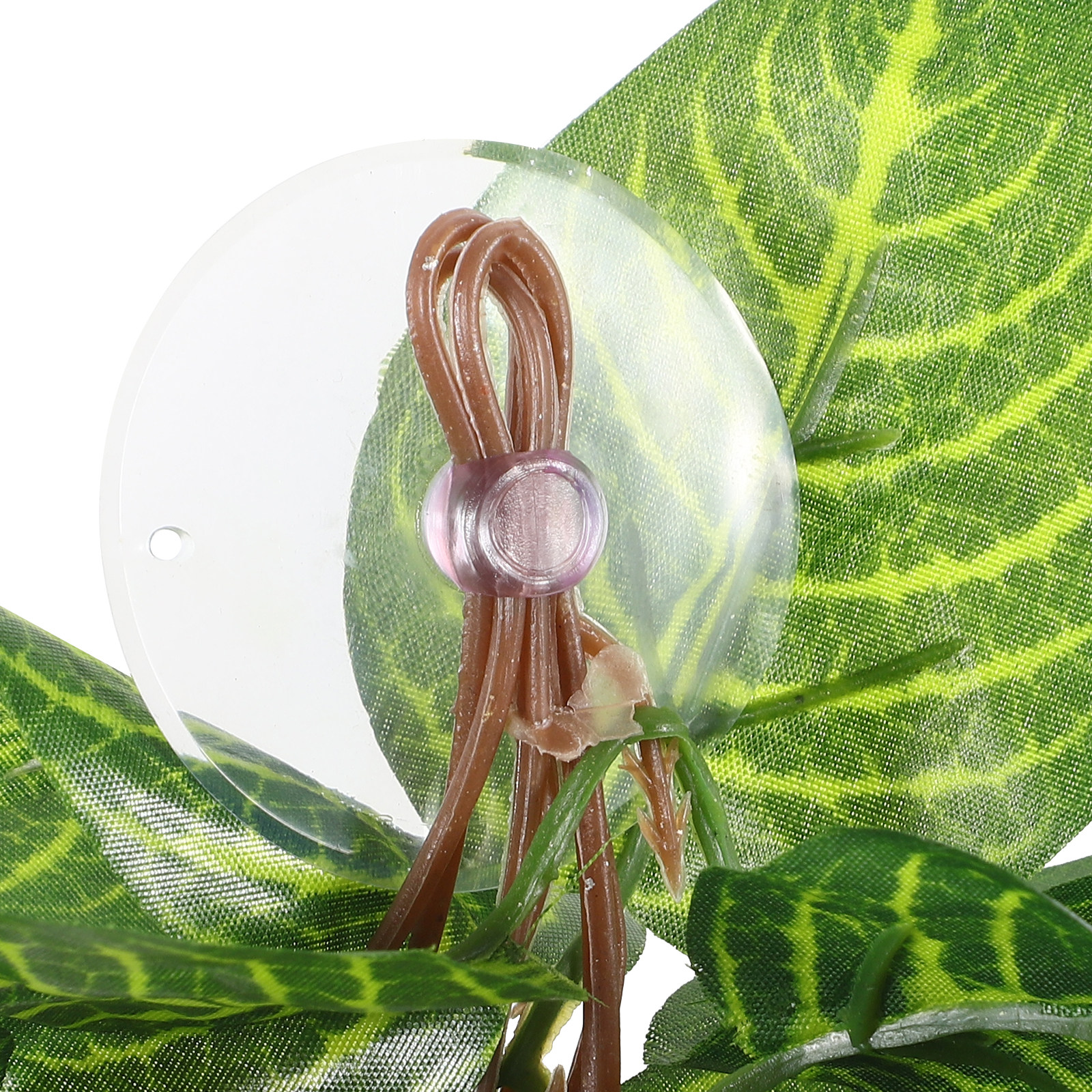 Fake Plant for Reptiles Plasti - Aquarium Plant Vine のレビューと価格