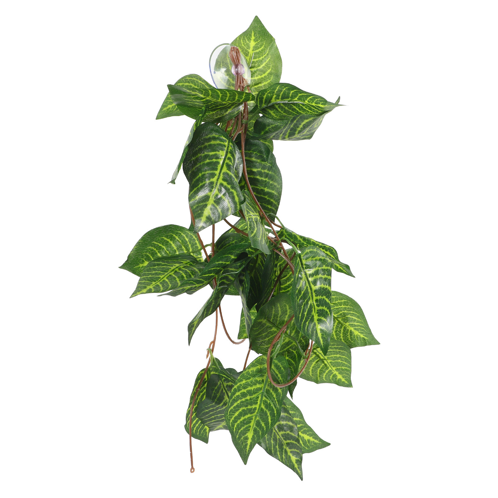 Fake Plant for Reptiles Plasti - Aquarium Plant Vine のレビューと価格
