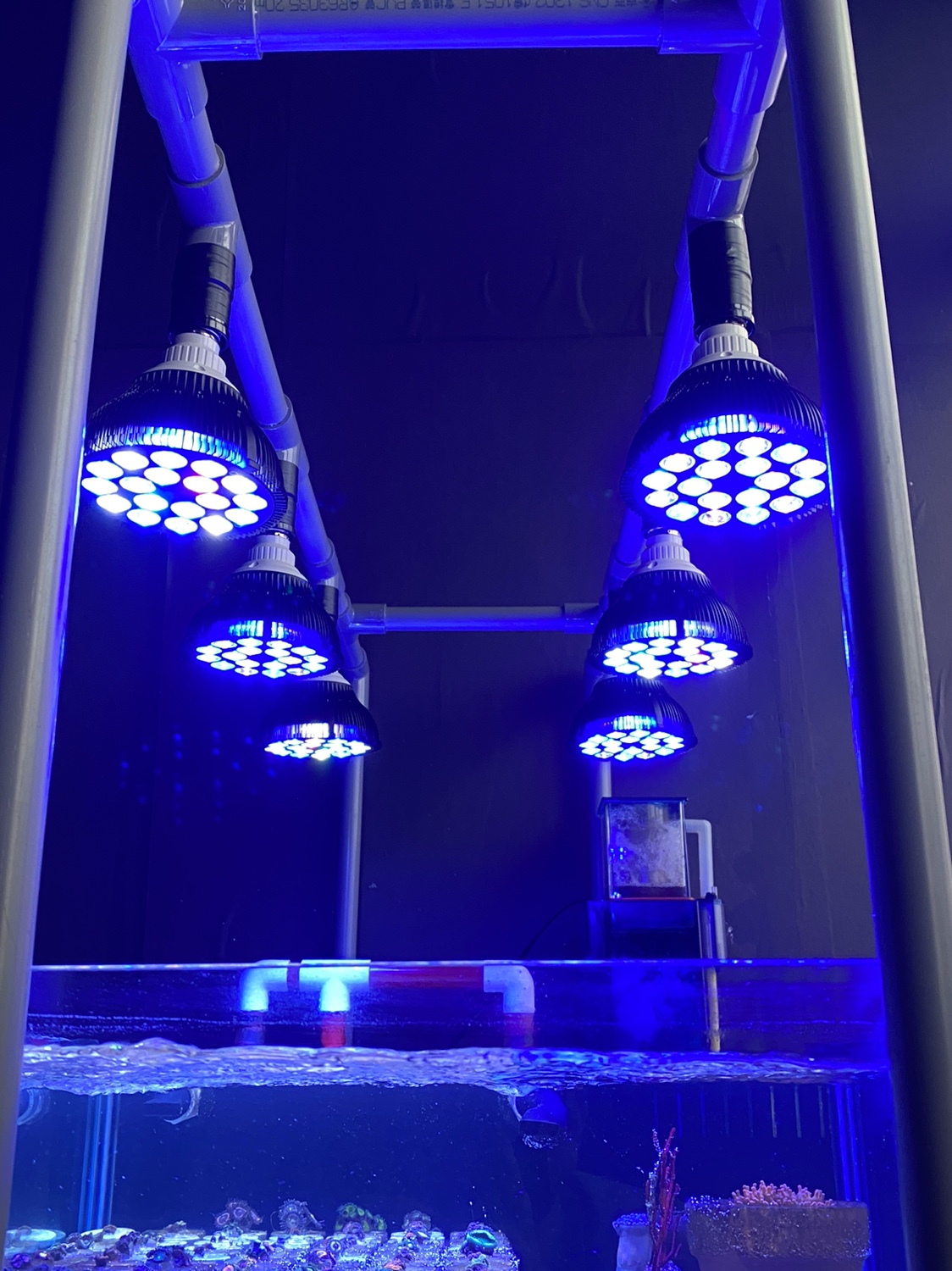 Full specturm LED Aquarium Ree - Planted Aquarium Pendant Light のレビューと価格