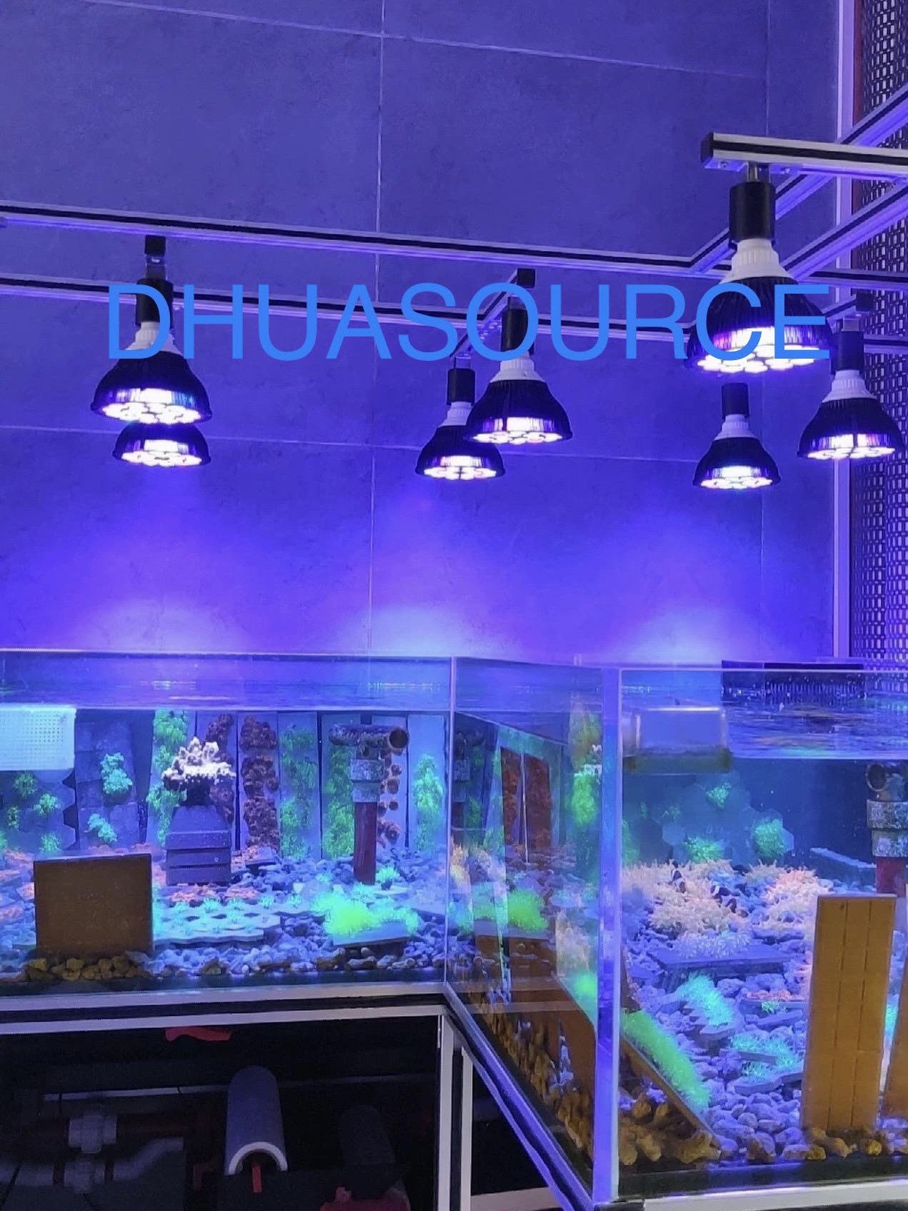 Full specturm LED Aquarium Ree - Planted Aquarium Pendant Light のレビューと価格