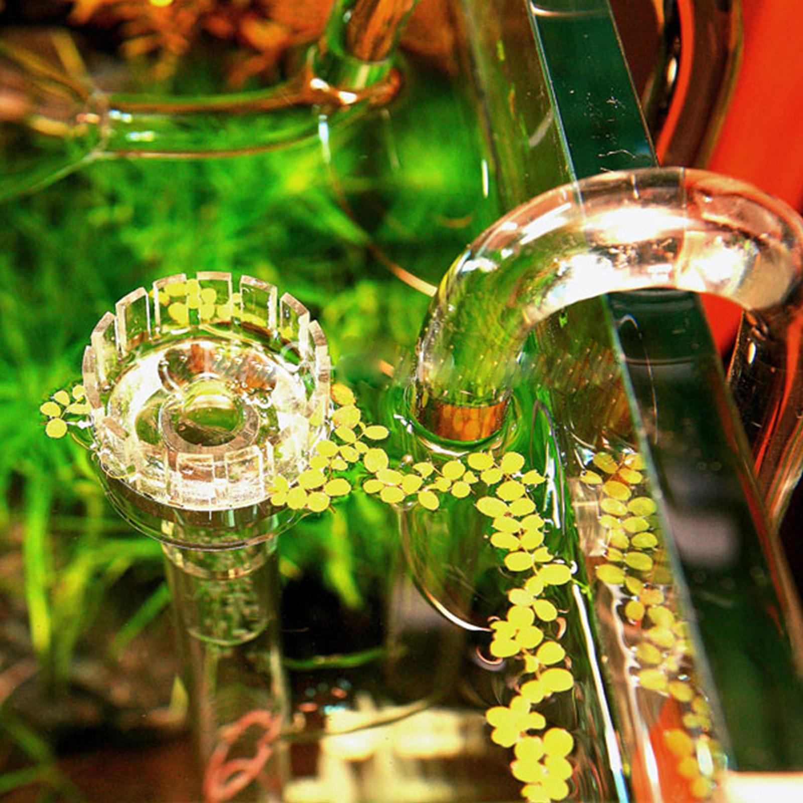 Aquarium Glass Lily Pipe Inflo - Aquarium Planted Tank Filter のレビューと価格