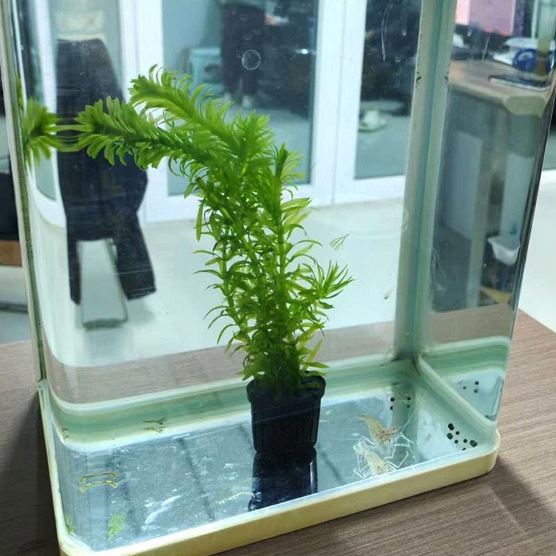 4Pcs Pet Fish Tank Landscaping - Aquarium Plants のレビューと価格