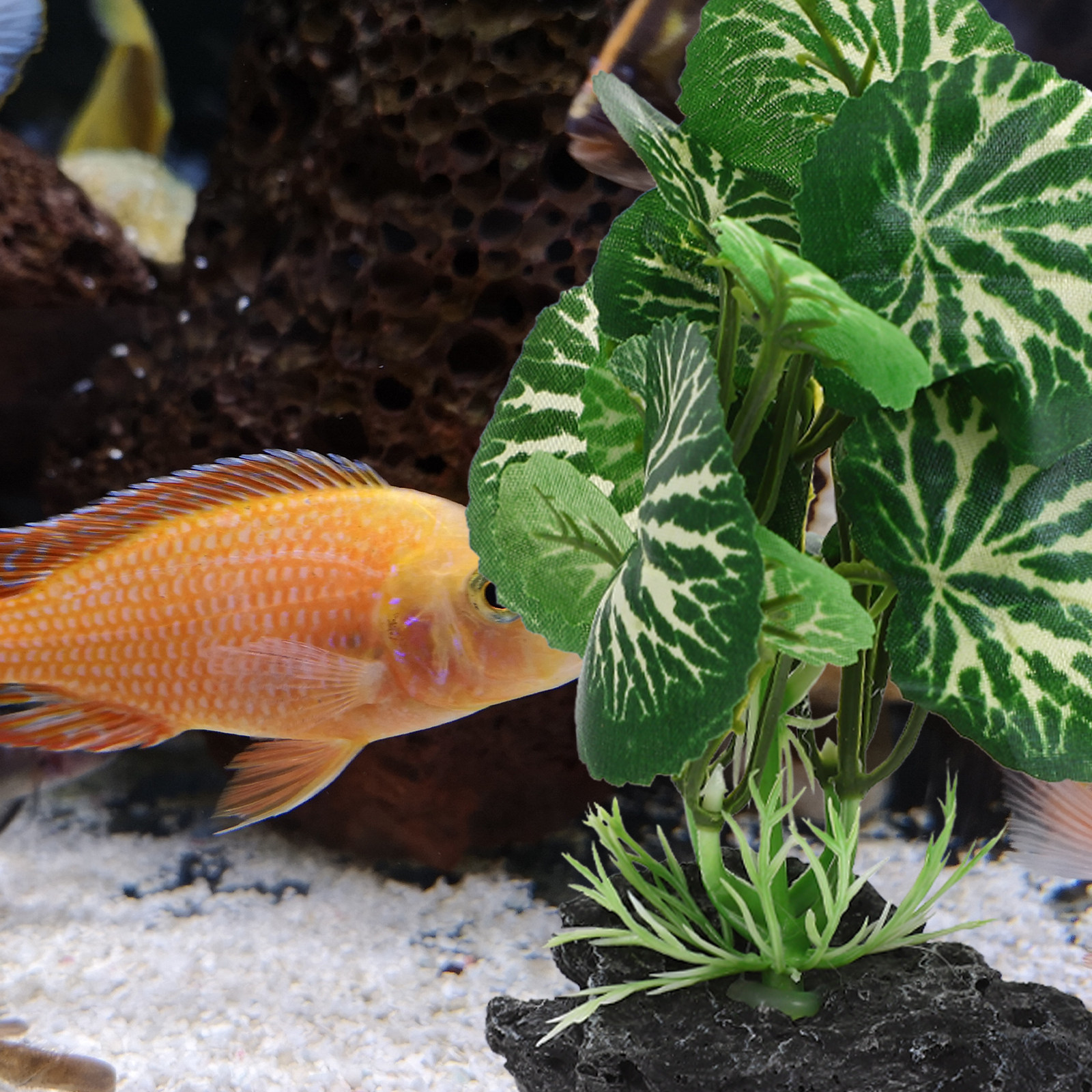1Set Delicate Simulated Aquari - Planted Aquarium Models のレビューと価格