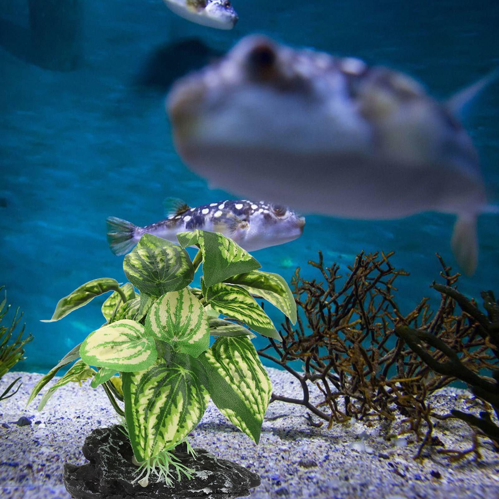 1Set Delicate Simulated Aquari - Planted Aquarium Models のレビューと価格