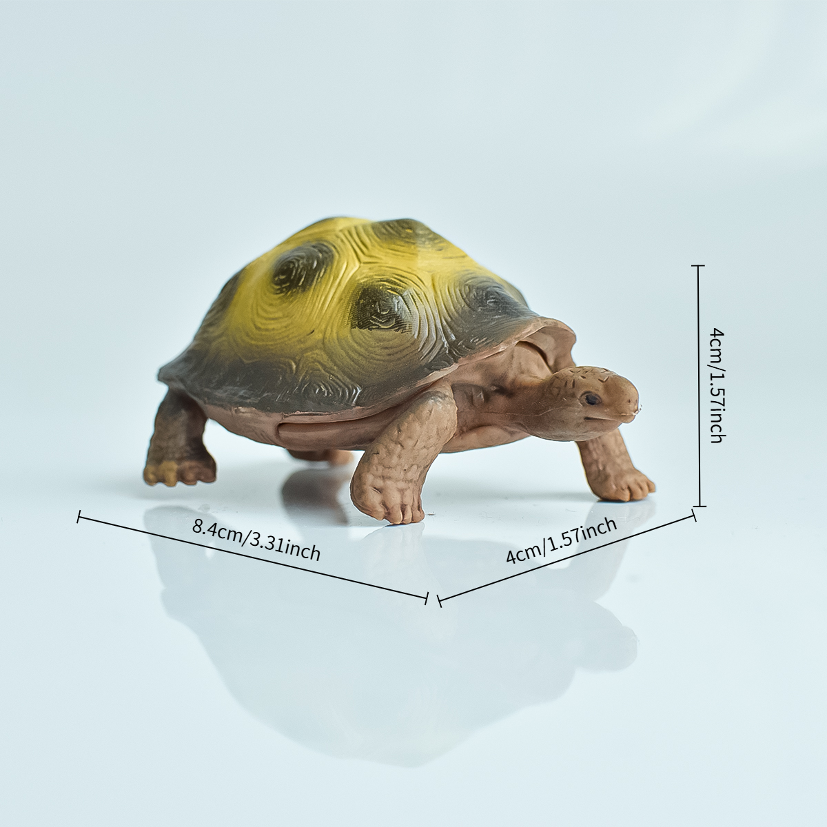 Painted Realistic Animal Turtl - Aquarium Plants のレビューと価格