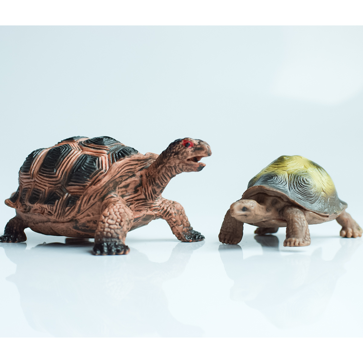 Painted Realistic Animal Turtl - Aquarium Plants のレビューと価格