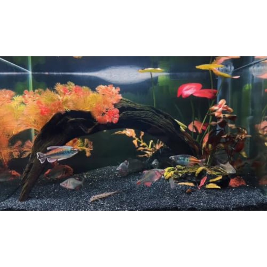 Aquarium Sand, 0 Fish Tank San - Aquarium Planted Substrate のレビューと価格