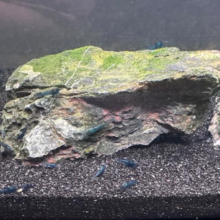 Aquarium Sand, 0 Fish Tank San - Aquarium Planted Substrate のレビューと価格