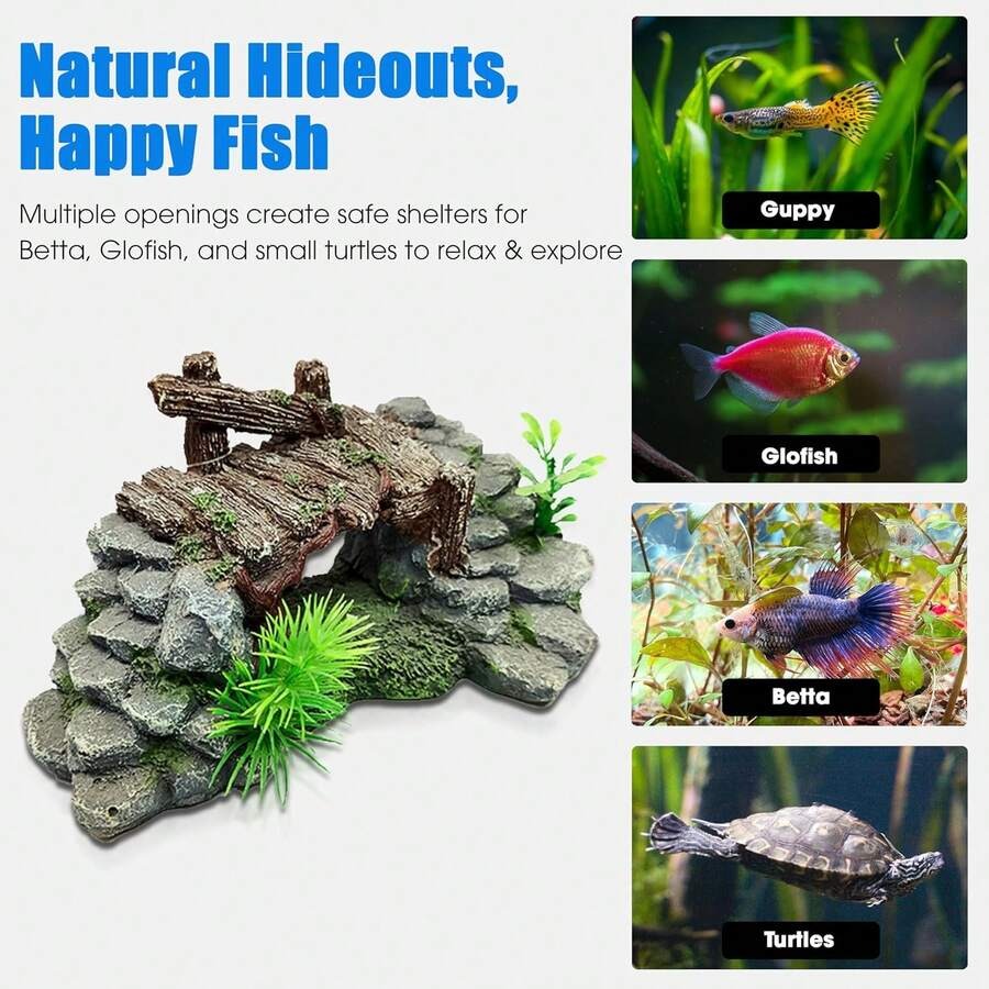 【New style】Aquarium Decor, Bet - Planted Aquarium For Betta のレビューと価格