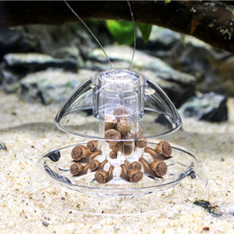 1PCS Fish Tank Aquarium Cleane - Planted Aquarium Products のレビューと価格