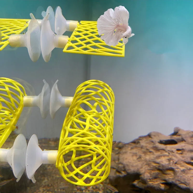 Plastic Fish Tank Aquarium Art - Planted Aquarium For Betta のレビューと価格