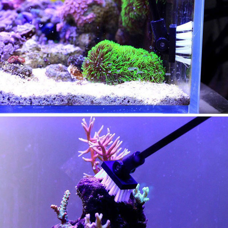 Fishing Cleaning Brush Plant T - Planted Aquarium Products のレビューと価格