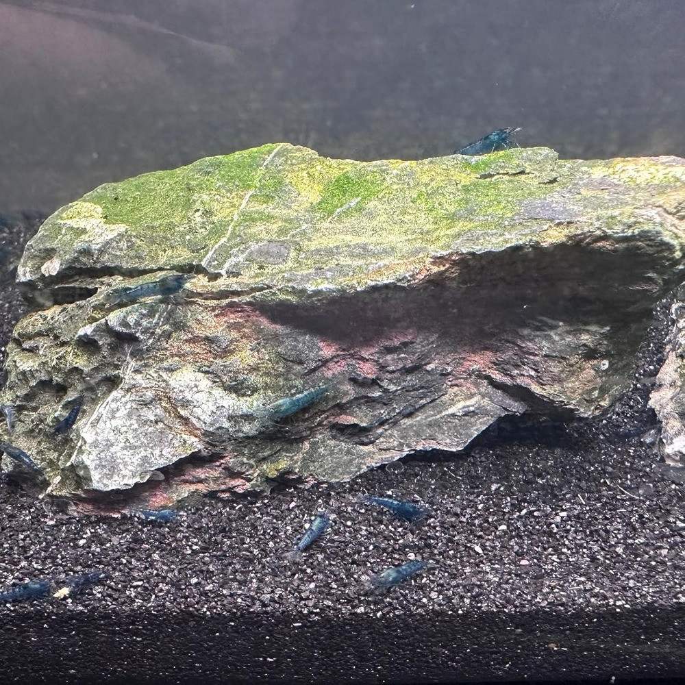 Black Aquarium Sand 2lbs, Fine - Aquarium Planted Substrate のレビューと価格