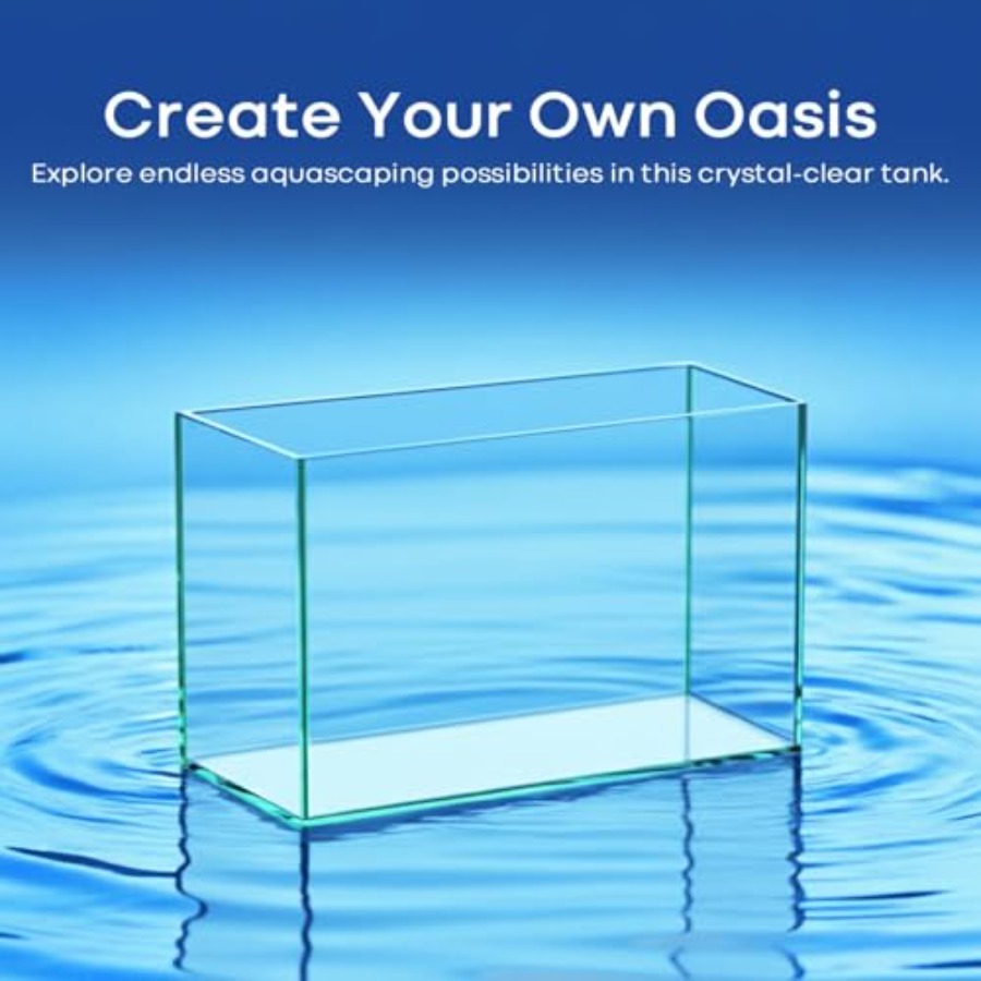 Glass Fish Tank Open-Back Lid  - Planted Aquarium For Betta のレビューと価格
