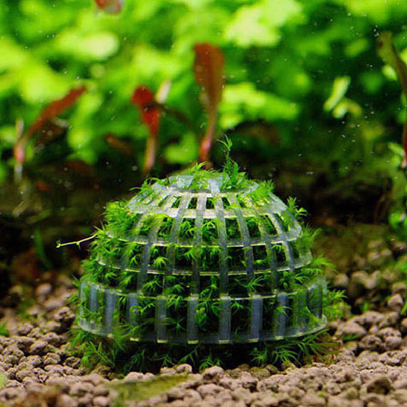 1pc Aquatic Pet Supplies Decor - Planted Aquarium Models のレビューと価格