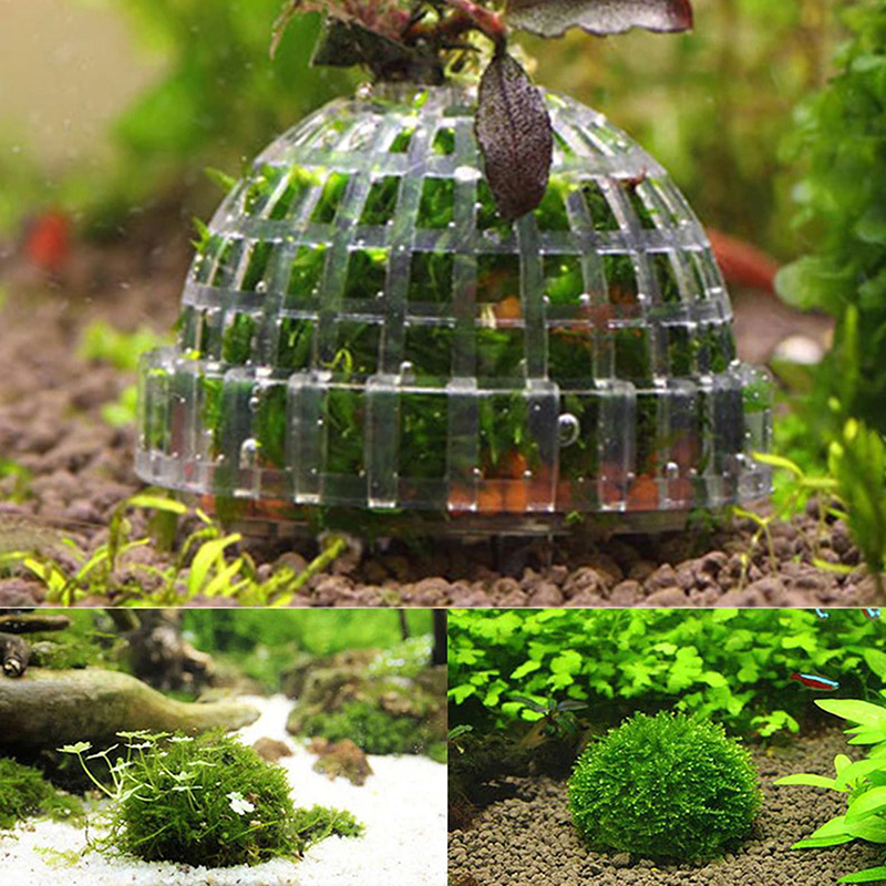 1pc Aquatic Pet Supplies Decor - Planted Aquarium Models のレビューと価格