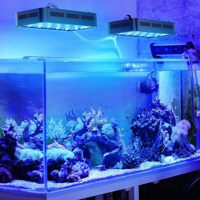 Wifi Control  Coral Reef 165w  - Planted Aquarium Models のレビューと価格